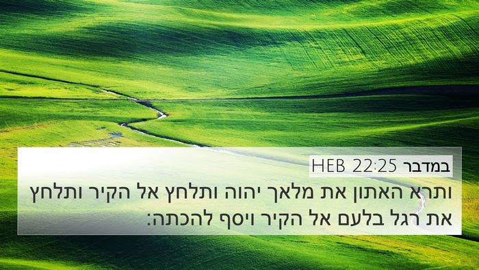 במדבר 22:25 HEB 4K Wallpaper - ותרא האתון את מלאך יהוה - 4K Wallpaper Bible Verse