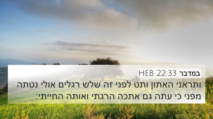 במדבר 22:33 HEB 4K Wallpaper - ותראני האתון ותט לפני זה - 4K Wallpaper Bible Verse