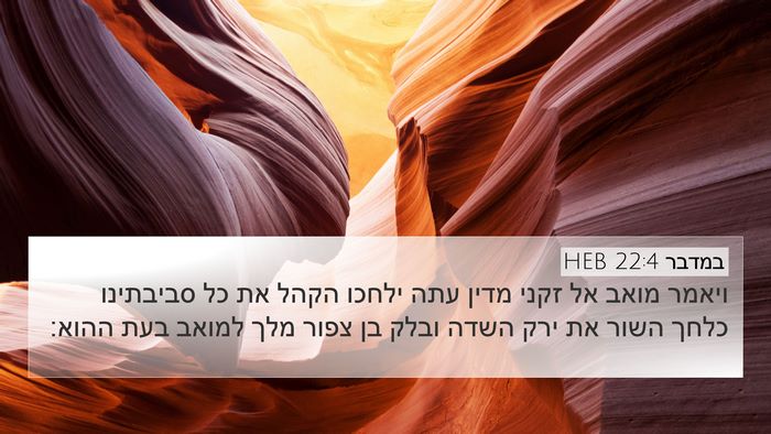 במדבר 22:4 HEB Bible Verse Image
