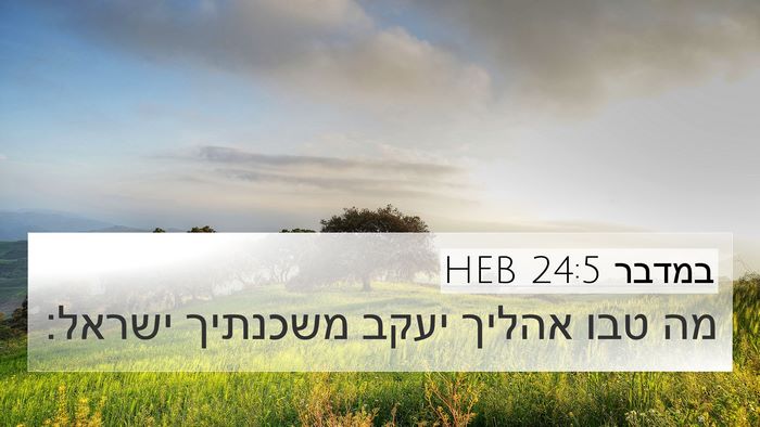במדבר 24:5 HEB Bible Verse Image