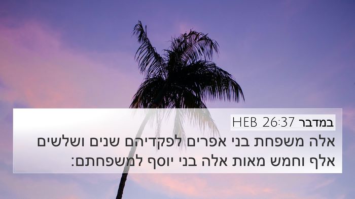 במדבר 26:37 HEB 4K Wallpaper - אלה משפחת בני אפרים - 4K Wallpaper Bible Verse