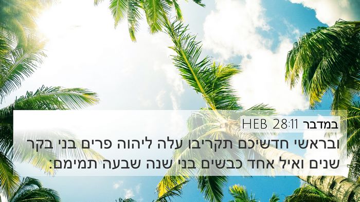 במדבר 28:11 HEB Bible Verse Image