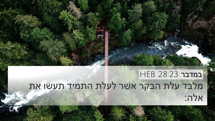 במדבר 28:23 HEB 4K Wallpaper - מלבד עלת הבקר אשר לעלת - 4K Wallpaper Bible Verse