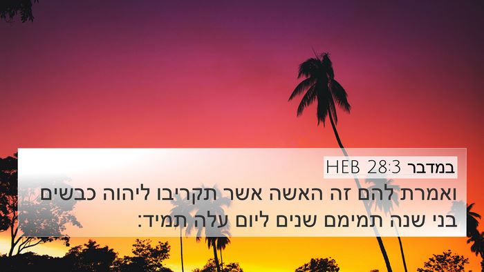 במדבר 28:3 HEB Bible Verse Image