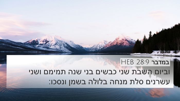 במדבר 28:9 HEB 4K Wallpaper - וביום השבת שני כבשים בני - 4K Wallpaper Bible Verse