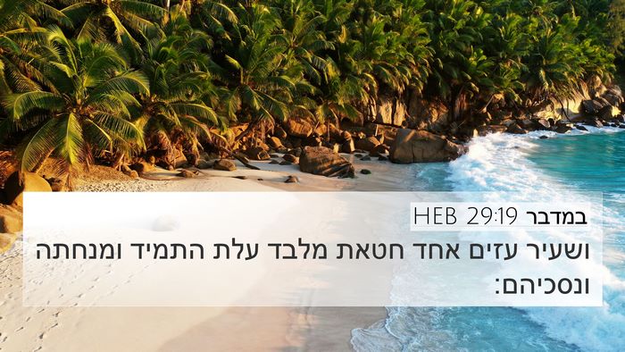 במדבר 29:19 HEB Bible Verse Image