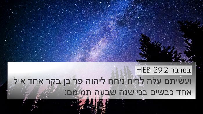 במדבר 29:2 HEB Bible Verse Image
