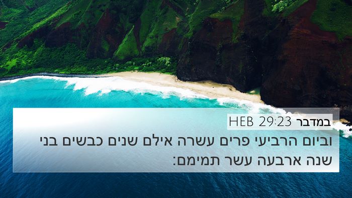 במדבר 29:23 HEB 4K Wallpaper - וביום הרביעי פרים עשרה - 4K Wallpaper Bible Verse