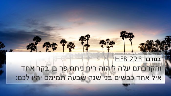 במדבר 29:8 HEB Bible Verse Image
