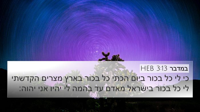 במדבר 3:13 HEB Bible Verse Image