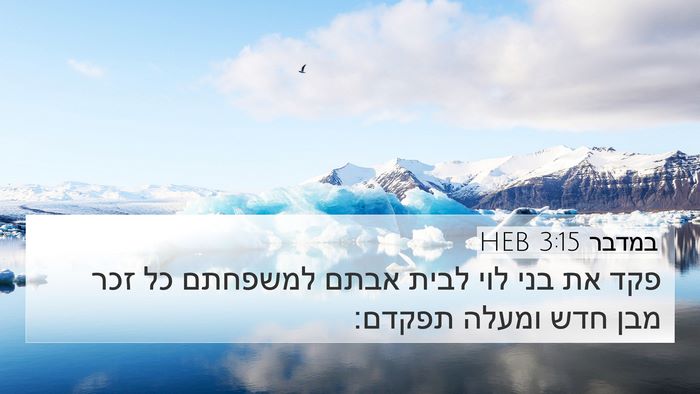 במדבר 3:15 HEB Bible Verse Image