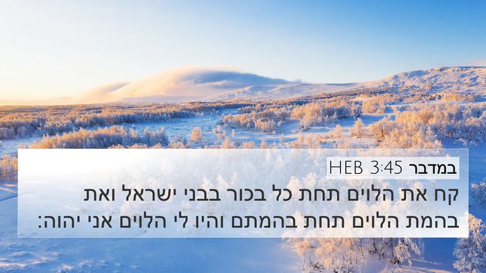 במדבר 3:45 HEB Bible Verse Image
