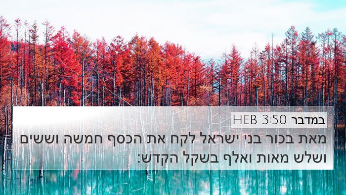 במדבר 3:50 HEB Bible Verse Image