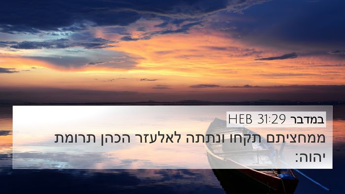 במדבר 31:29 HEB Bible Verse Image