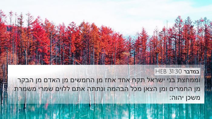 במדבר 31:30 HEB Bible Verse Image