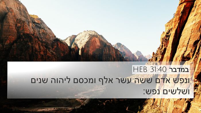 במדבר 31:40 HEB 4K Wallpaper - ונפש אדם ששה עשר אלף ומכסם - 4K Wallpaper Bible Verse