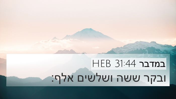 במדבר 31:44 HEB 4K Wallpaper - ובקר ששה ושלשים - 4K Wallpaper Bible Verse