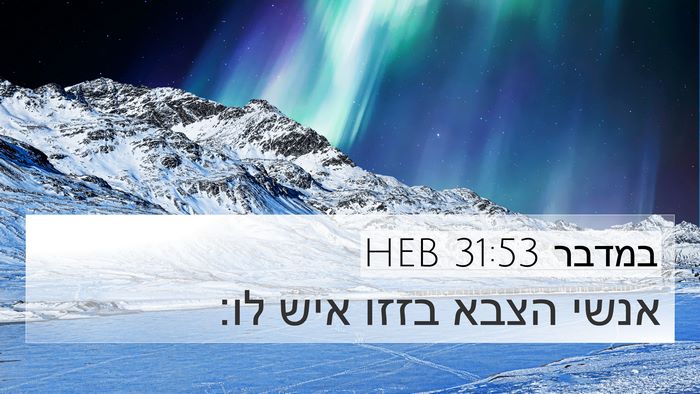 במדבר 31:53 HEB 4K Wallpaper - אנשי הצבא בזזו איש - 4K Wallpaper Bible Verse