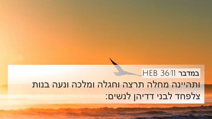 במדבר 36:11 HEB 4K Wallpaper - ותהיינה מחלה תרצה וחגלה - 4K Wallpaper Bible Verse