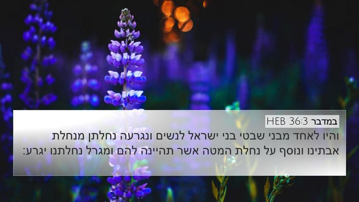 במדבר 36:3 HEB 4K Wallpaper - והיו לאחד מבני שבטי בני - 4K Wallpaper Bible Verse