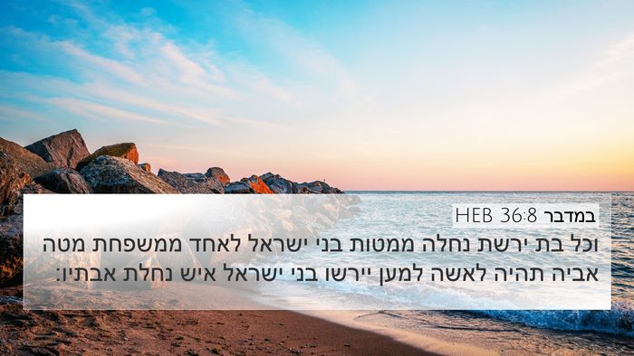 במדבר 36:8 HEB Bible Verse Image