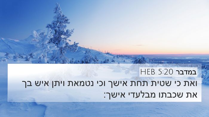 במדבר 5:20 HEB Bible Verse Image