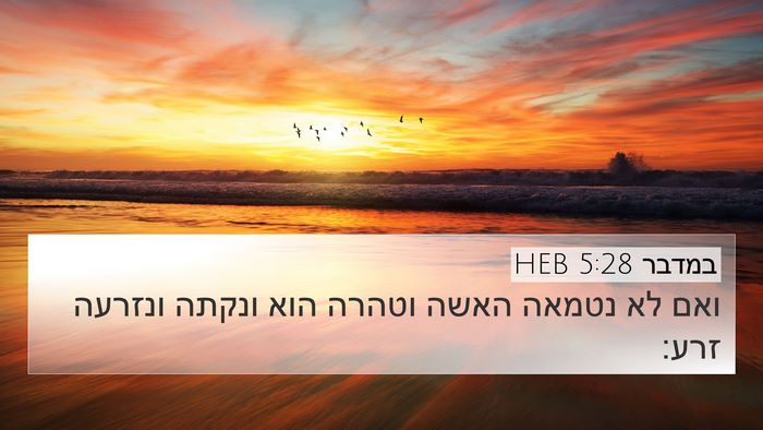 במדבר 5:28 HEB 4K Wallpaper - ואם לא נטמאה האשה וטהרה הוא - 4K Wallpaper Bible Verse