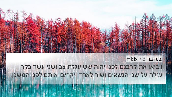 במדבר 7:3 HEB Bible Verse Image