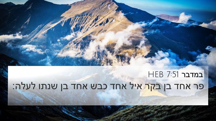 במדבר 7:51 HEB 4K Wallpaper - פר אחד בן בקר איל אחד כבש - 4K Wallpaper Bible Verse