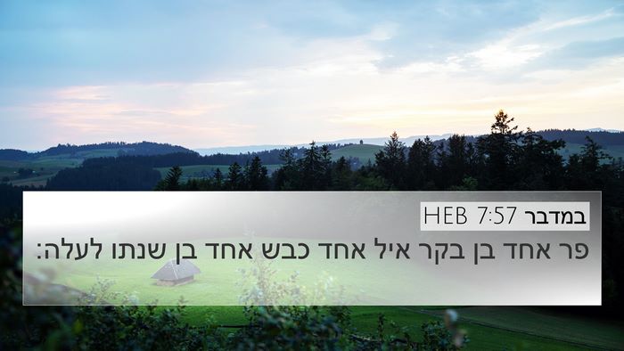 במדבר 7:57 HEB 4K Wallpaper - פר אחד בן בקר איל אחד כבש - 4K Wallpaper Bible Verse