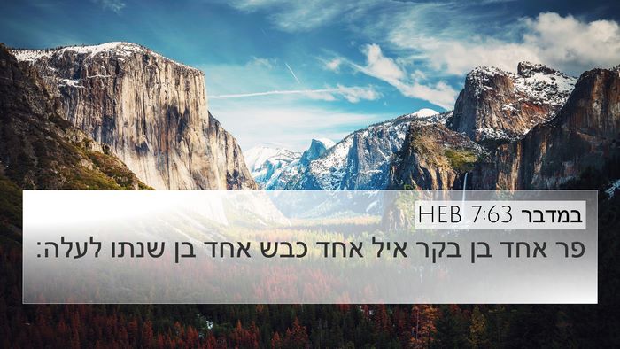 במדבר 7:63 HEB 4K Wallpaper - פר אחד בן בקר איל אחד כבש - 4K Wallpaper Bible Verse