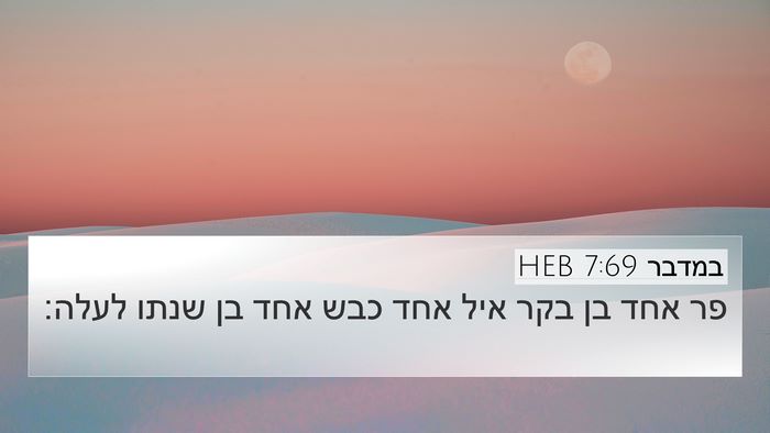 במדבר 7:69 HEB 4K Wallpaper - פר אחד בן בקר איל אחד כבש - 4K Wallpaper Bible Verse