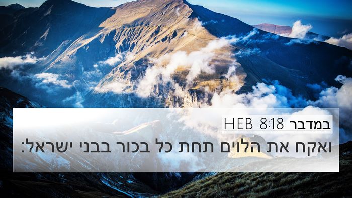 במדבר 8:18 HEB Bible Verse Image