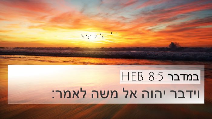 במדבר 8:5 HEB Bible Verse Image