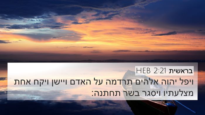 בראשית 2:21 HEB Bible Verse Image