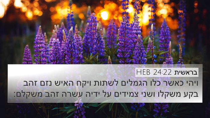 בראשית 24:22 HEB Bible Verse Image