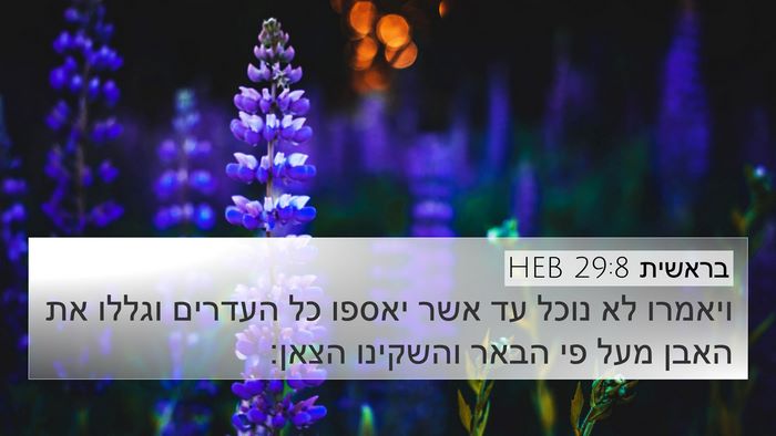 בראשית 29:8 HEB 4K Wallpaper - ויאמרו לא נוכל עד אשר יאספו - 4K Wallpaper Bible Verse