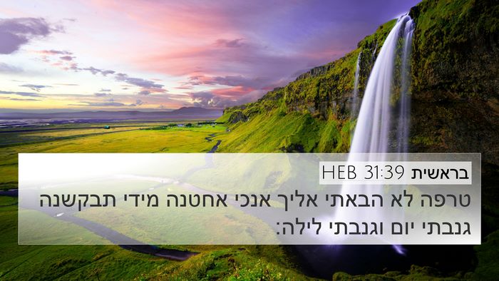 בראשית 31:39 HEB Bible Verse Image