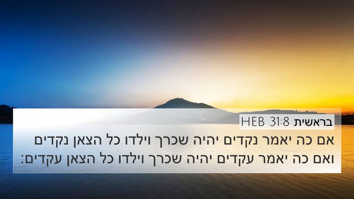 בראשית 31:8 HEB Bible Verse Image