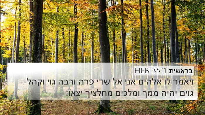 בראשית 35:11 HEB Bible Verse Image