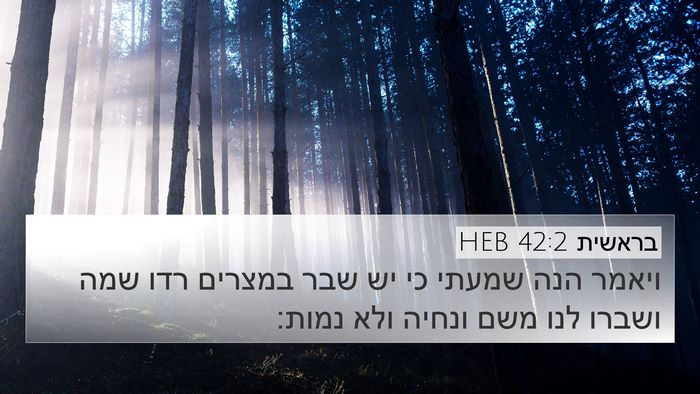 בראשית 42:2 HEB Bible Verse Image