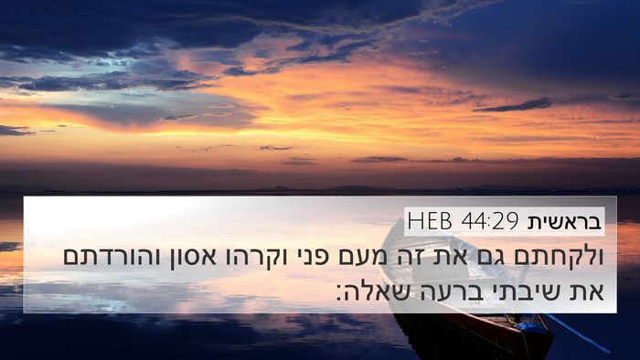 בראשית 44:29 HEB Bible Verse Image