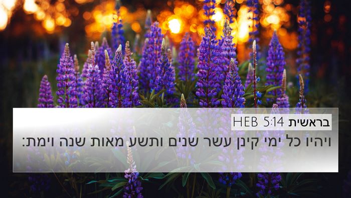 בראשית 5:14 HEB 4K Wallpaper - ויהיו כל ימי קינן עשר שנים - 4K Wallpaper Bible Verse