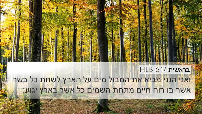 בראשית 6:17 HEB Bible Verse Image