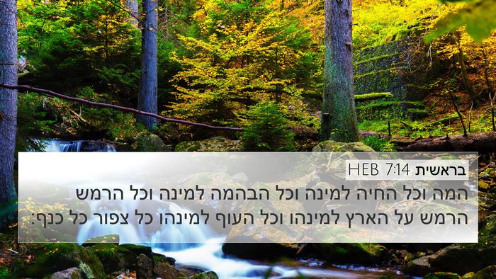 בראשית 7:14 HEB 4K Wallpaper - המה וכל החיה למינה וכל - 4K Wallpaper Bible Verse