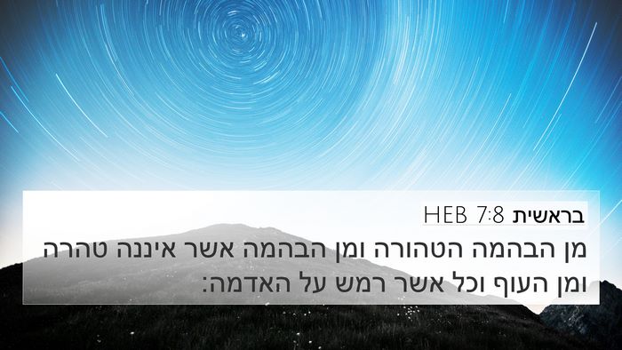 בראשית 7:8 HEB 4K Wallpaper - מן הבהמה הטהורה ומן הבהמה - 4K Wallpaper Bible Verse