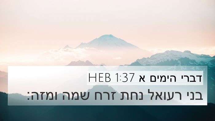 דברי הימים א 1:37 HEB Bible Verse Image
