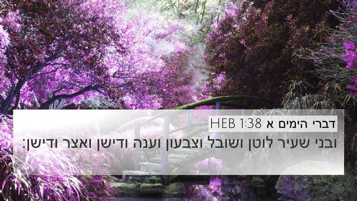דברי הימים א 1:38 HEB Bible Verse Image