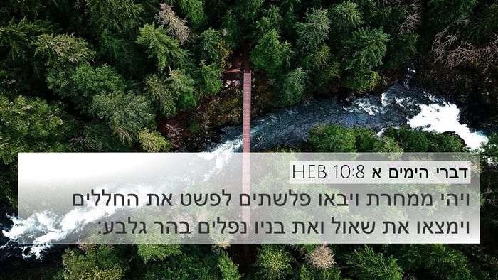 דברי הימים א 10:8 HEB Bible Verse Image