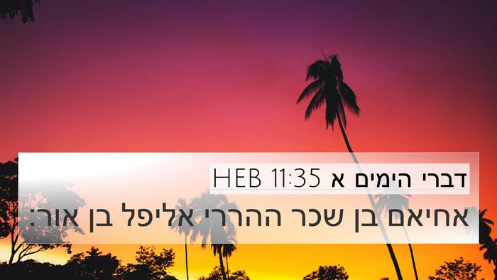 דברי הימים א 11:35 HEB Bible Verse Image